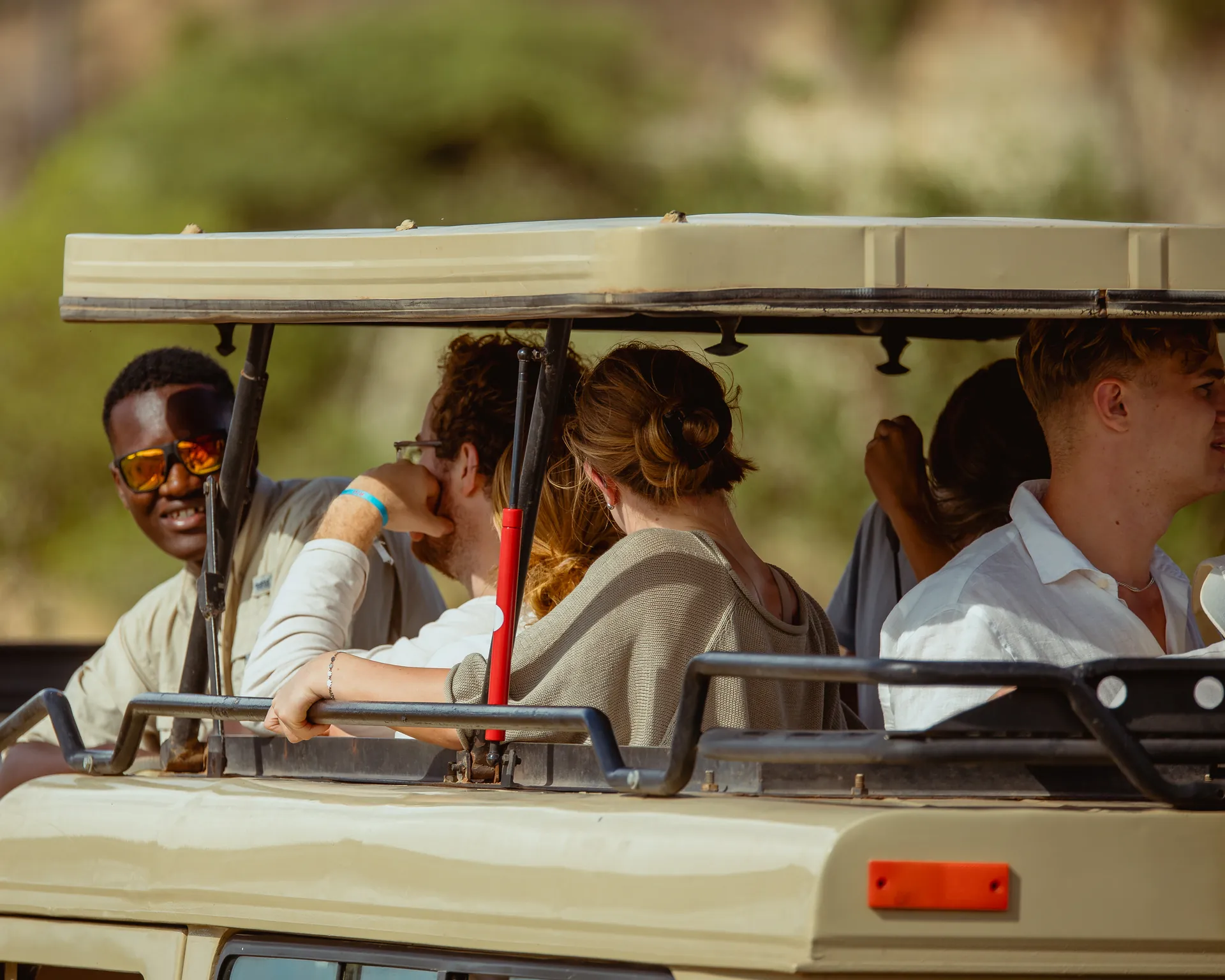Wildlife in an East African safari landscape